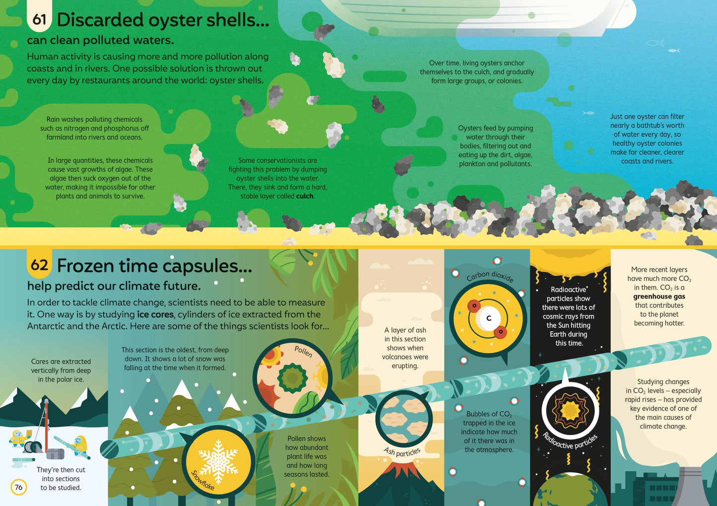 Educational infographic about oyster shells and climate change, featuring illustrations and text.