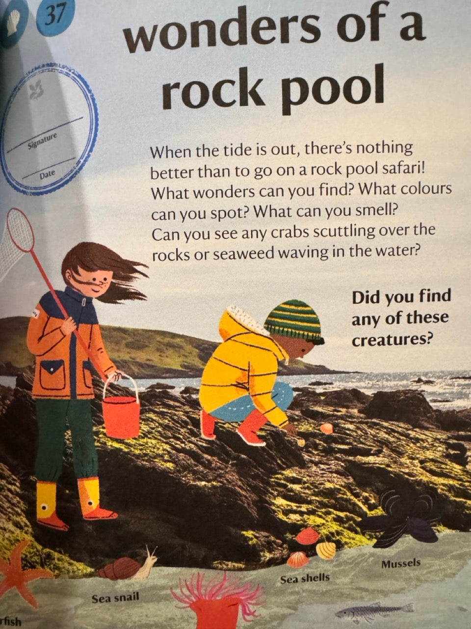 Illustration of two children at a rock pool with text about exploring rock pools.