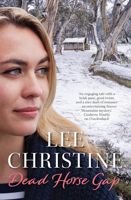 book cover with a girl and snow covered background title is "dead horse gap"