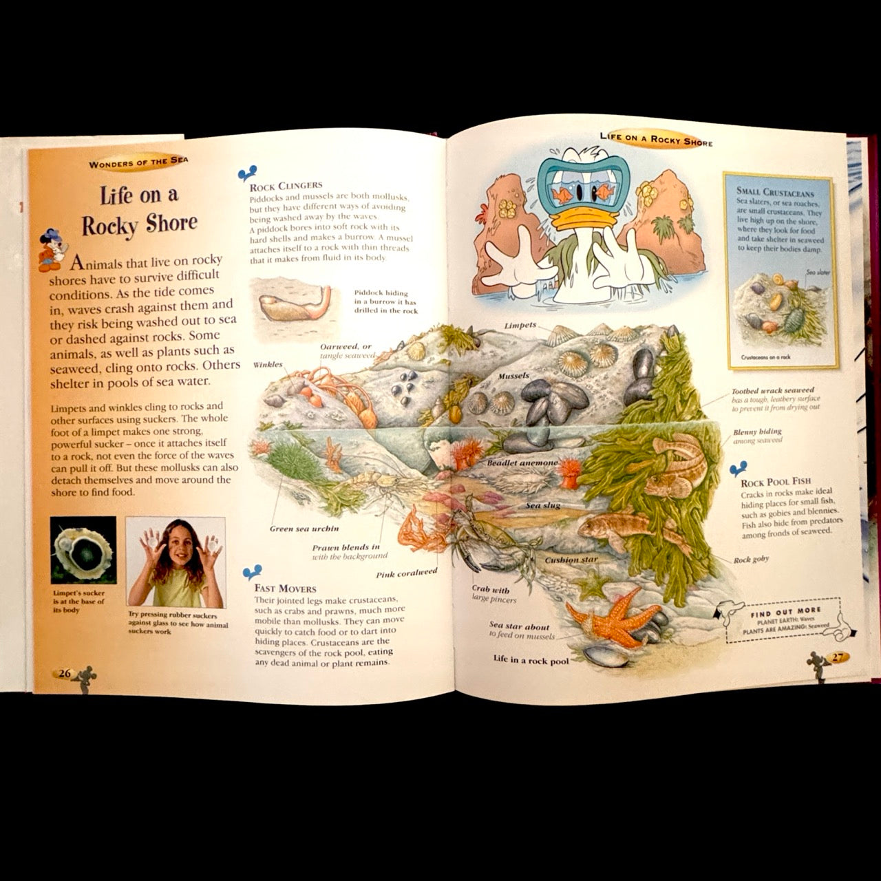 Disney The Wonderful World of Knowledge: Wonders of the Sea (pre-loved)