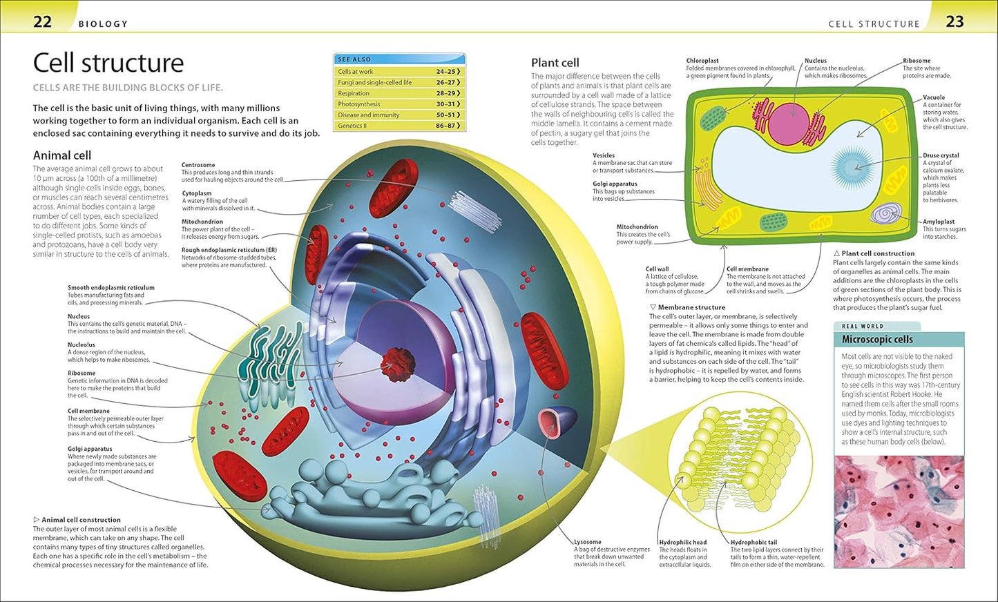 Educational page about cell structure with diagrams and labels.