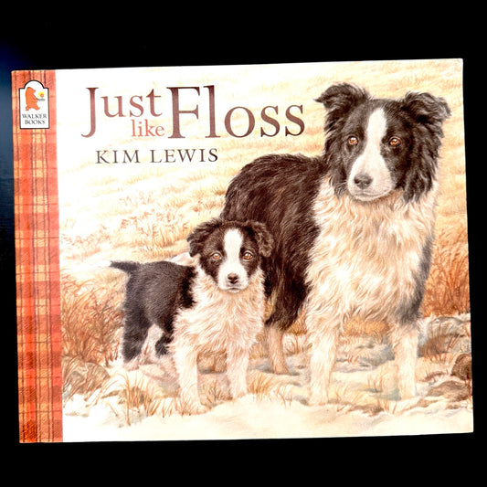 Just Like Floss (pre-loved)