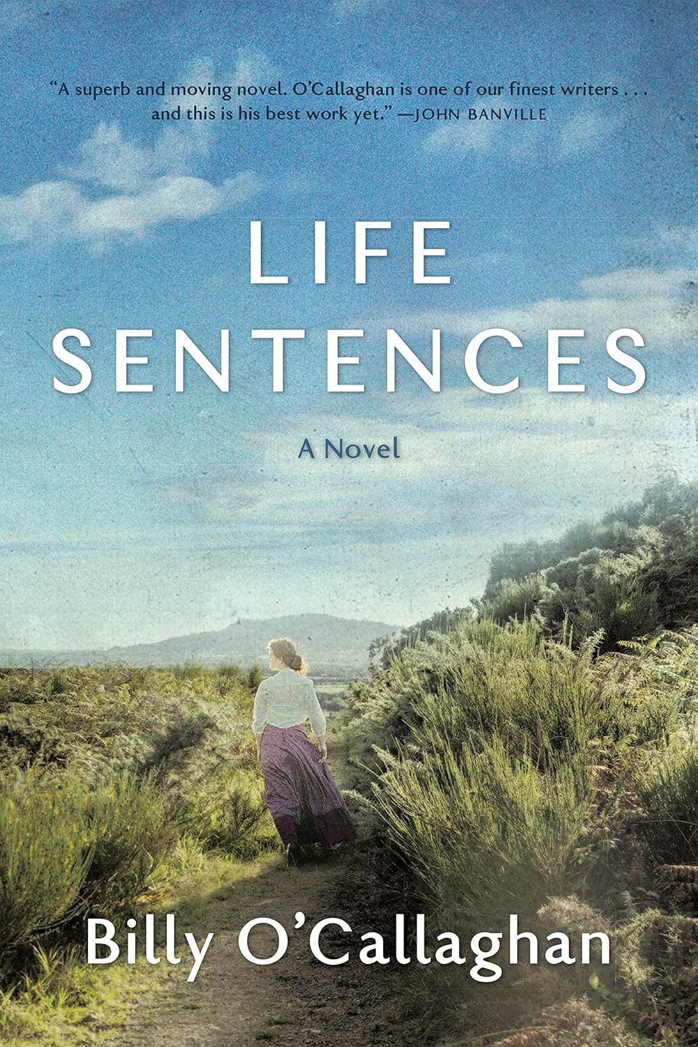 Book cover of 'Life Sentences' by Billy O'Callaghan with a scenic landscape and person walking on a path.