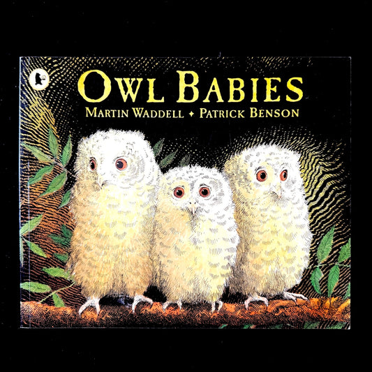 Owl Babies (pre loved)