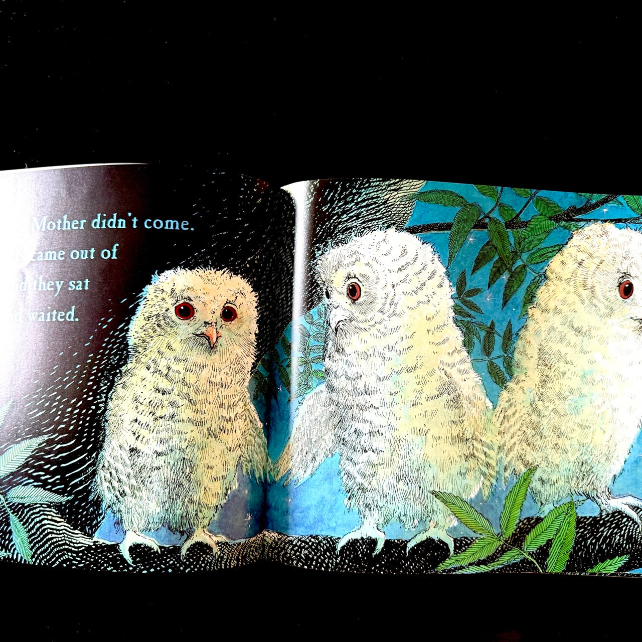 Owl Babies (pre loved)