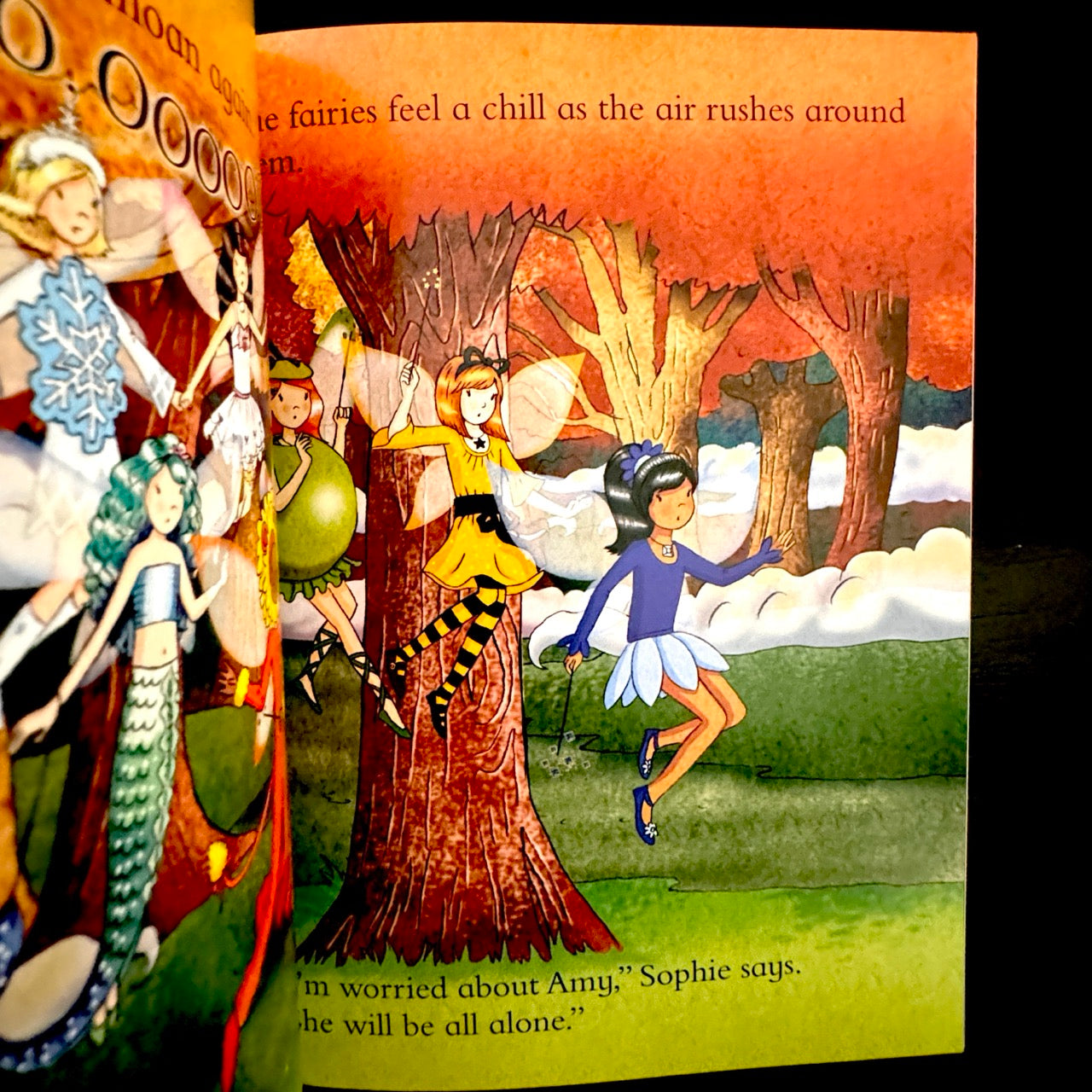 Rainbow Magic: the Fairyland Costume Ball (pre-loved)