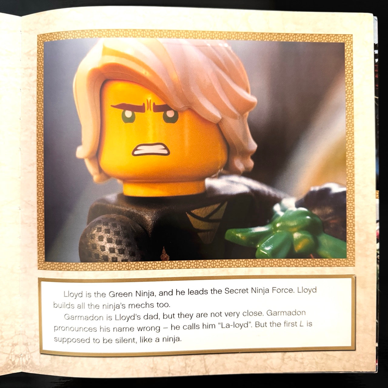 Lego the Ninjago: High Tech Ninja Heroes (pre-loved)