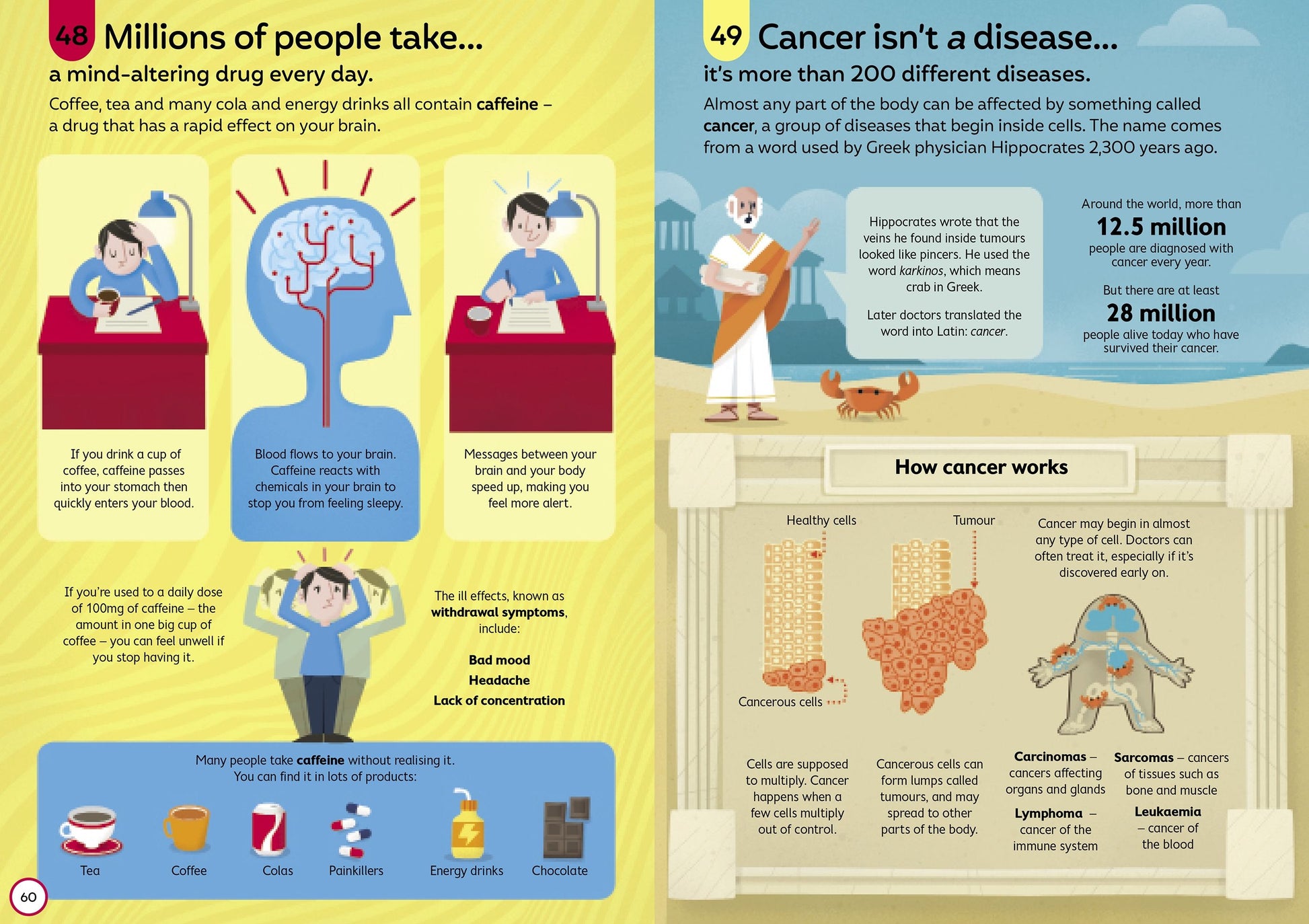 Educational infographic about caffeine consumption and cancer, featuring illustrations and text.