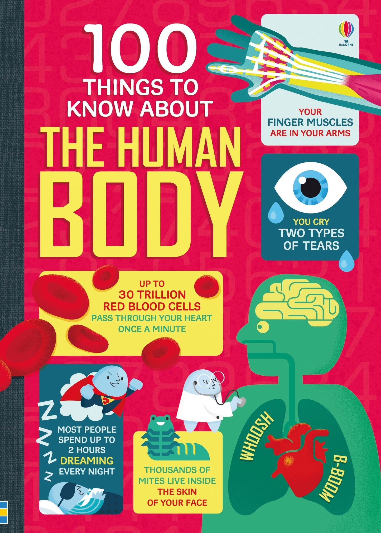 Book cover of '100 Things to Know About the Human Body' with colorful illustrations and text on a red background.