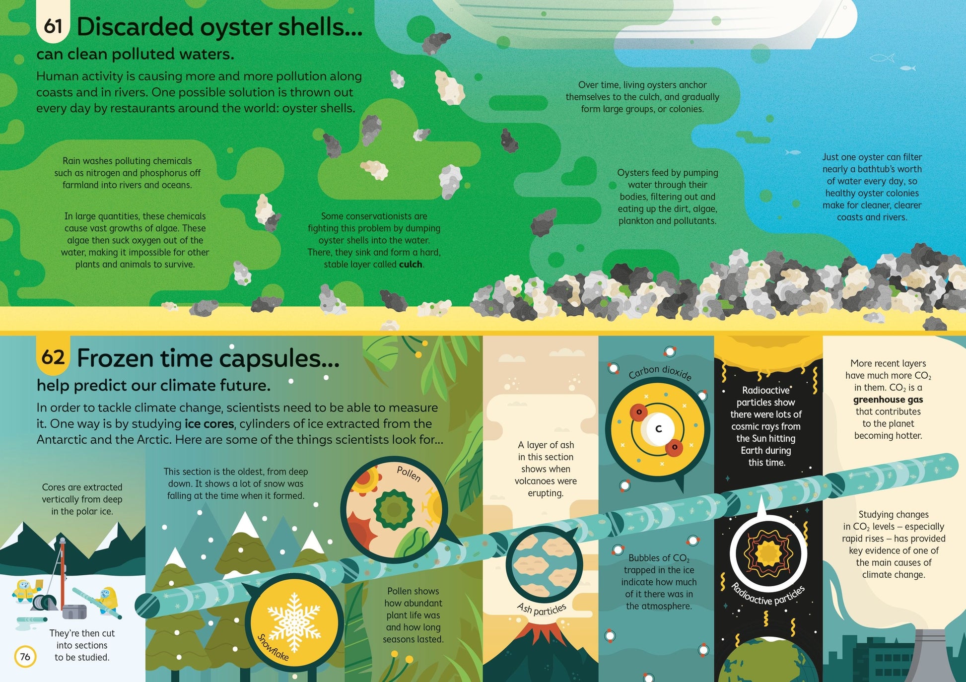 Educational infographic about oyster shells and climate change, featuring illustrations and text.