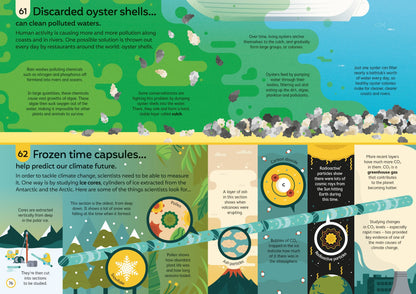 Educational infographic about oyster shells and climate change, featuring illustrations and text.