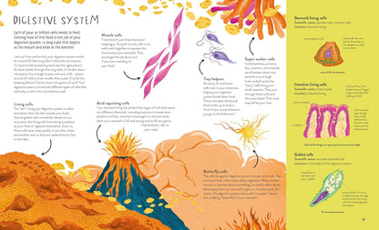 Illustrated page from a science book about the digestive system with colorful diagrams and text.