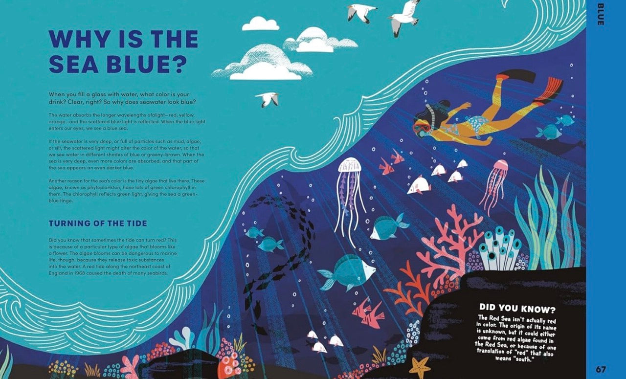 Illustrated page from a children's book about ocean life with a diver and marine creatures.