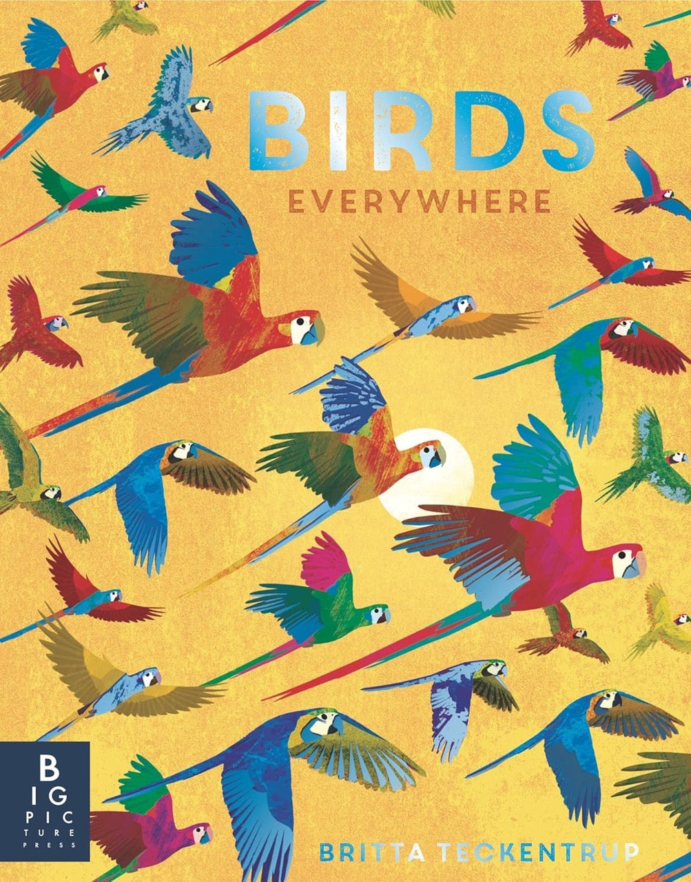 Book cover of 'Birds Everywhere' with colorful birds on a yellow background