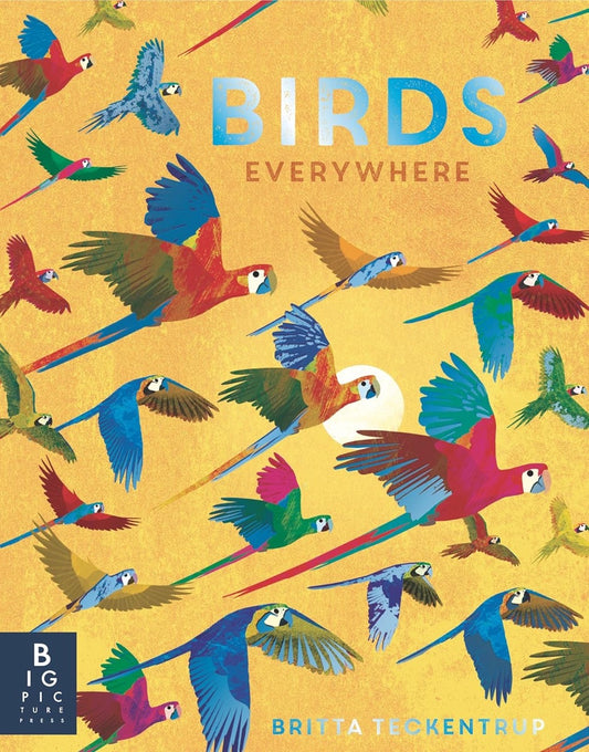 Book cover of 'Birds Everywhere' with colorful birds on a yellow background