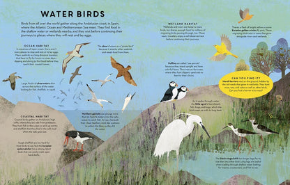 Educational illustration of water birds with habitat information