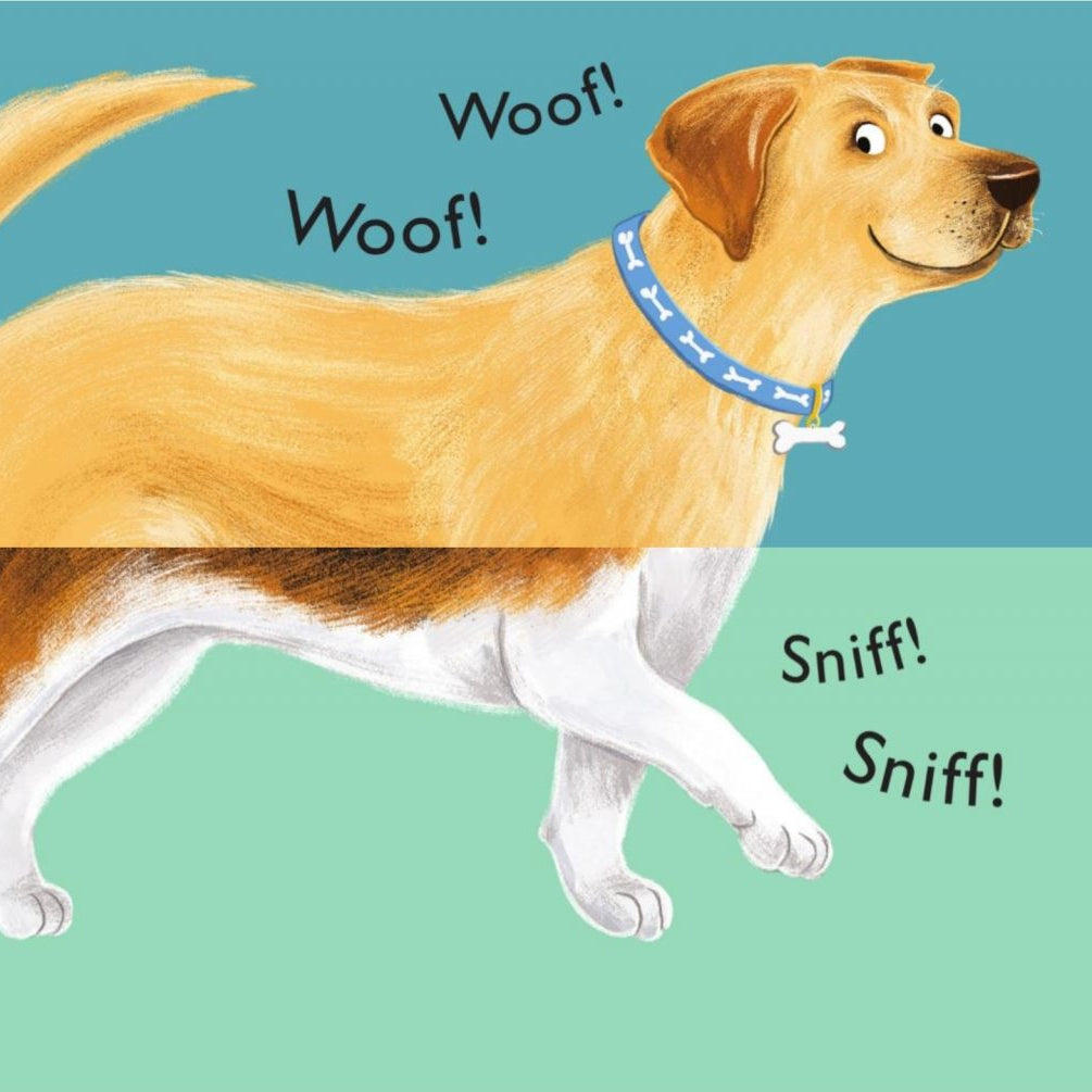 Illustration of a dog with text about a Labradoodle on a green background