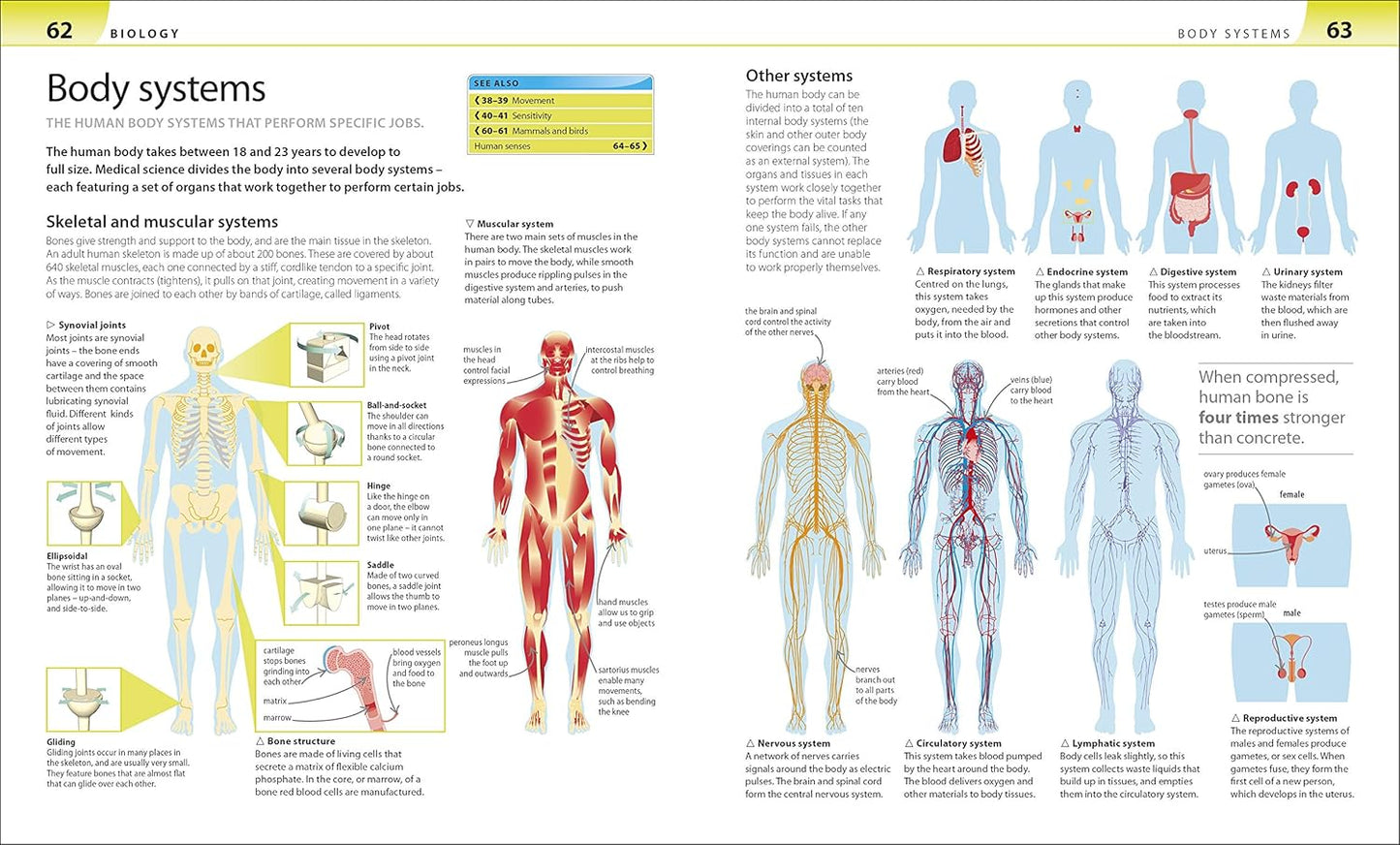 An open book showing pages about body systems with illustrations and text.