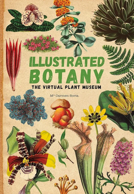 Book cover of 'Illustrated Botany: The Virtual Plant Museum' with illustrations of various plants.