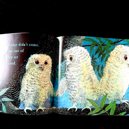 Owl Babies (pre loved)