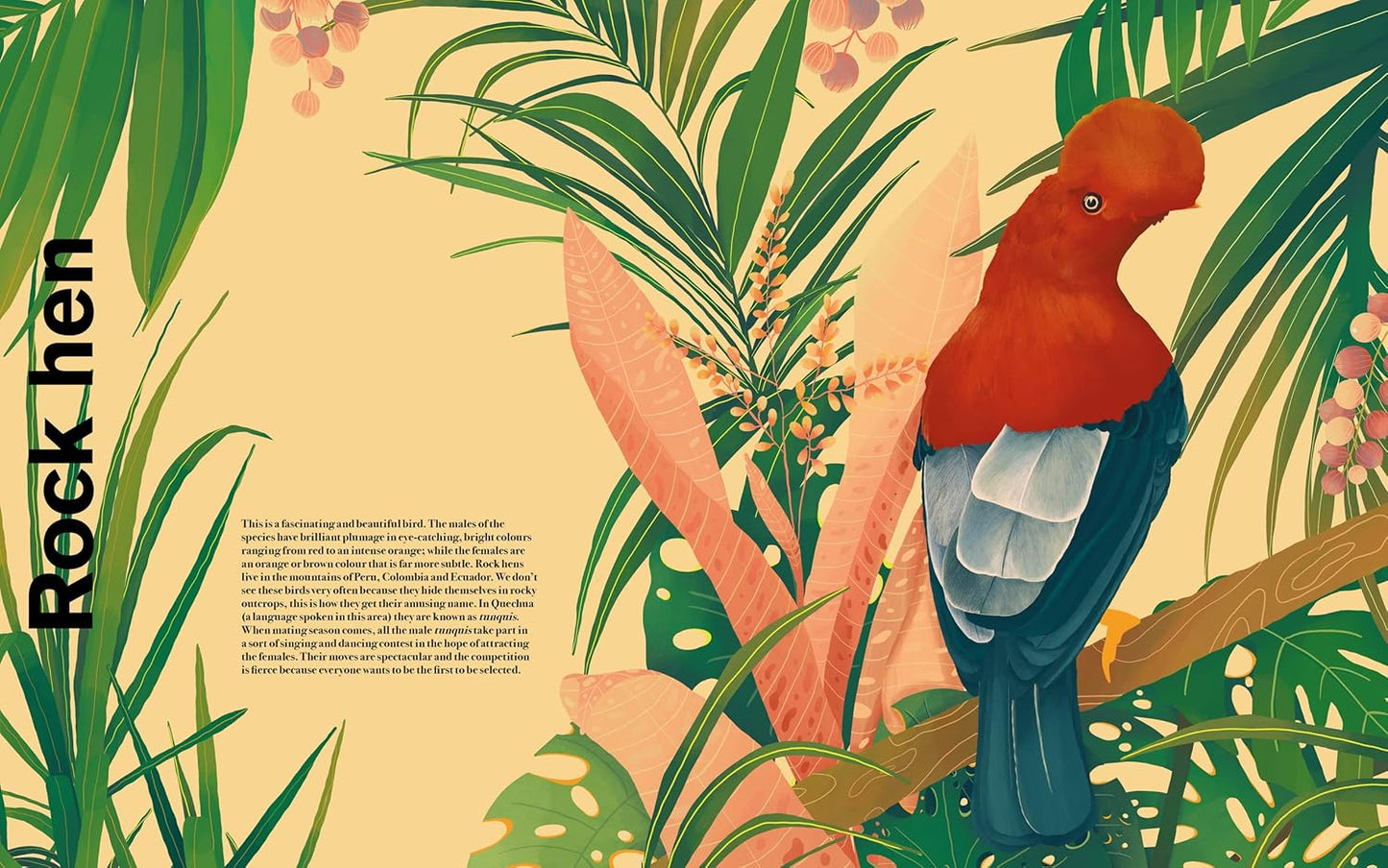 Illustration of a rock hen bird in a tropical setting with leaves and flowers.