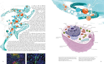 Illustration of a cell with various organelles and text on a white background