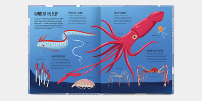 Educational illustration of marine life on a blue background