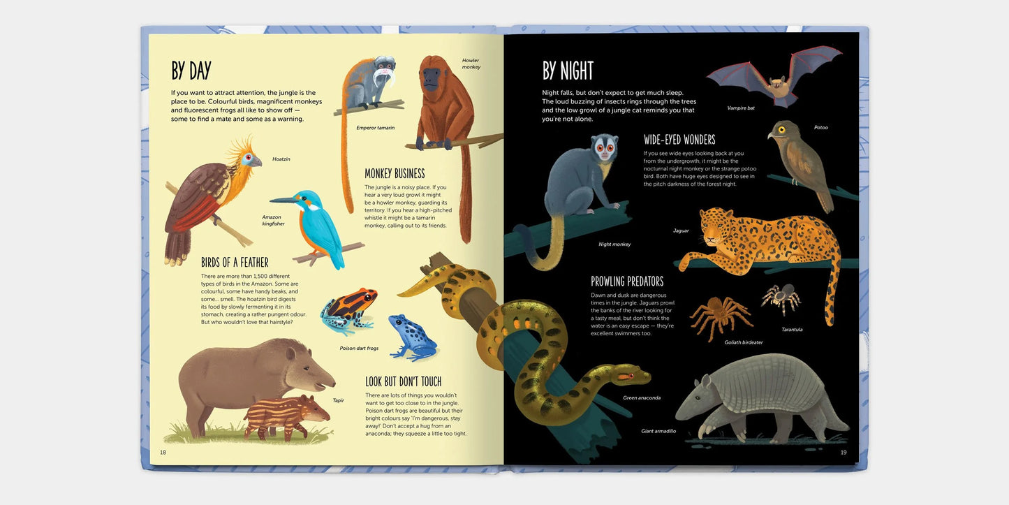 Illustrated book open to pages showing diurnal and nocturnal animals.
