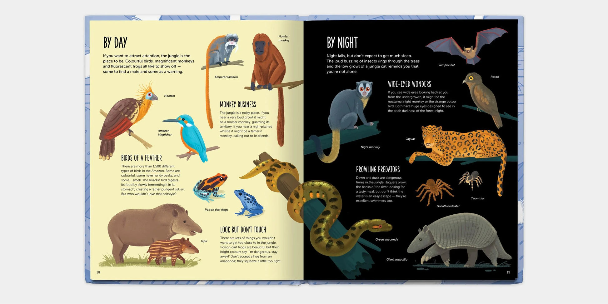 Illustrated book open to pages showing diurnal and nocturnal animals.