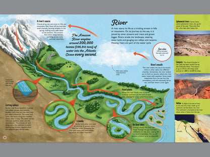 Educational diagram of a river system with text and arrows