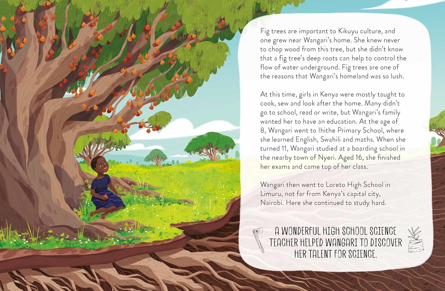 Illustration of a child under a fig tree with text about Kikuyu culture and Wangani's education journey.