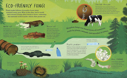 Educational infographic about eco-friendly fungi with illustrations and text on a green background.