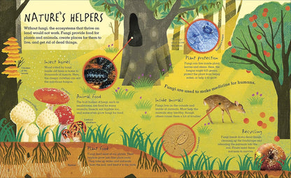 Educational illustration about fungi's role in nature with text and illustrations of trees, animals, and fungi.