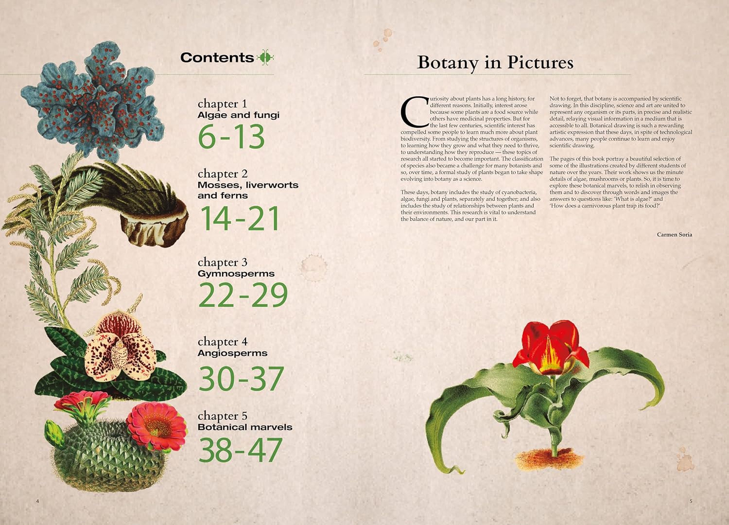 Book layout with botanical illustrations and chapter headings on a beige background