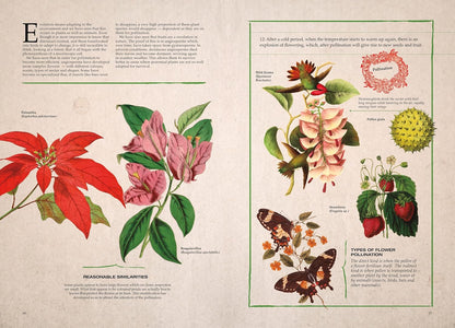 Illustrated book page with flowers and pollination diagrams on a beige background