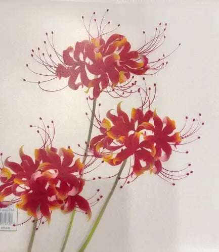 Artistic depiction of red and yellow flowers on a light background