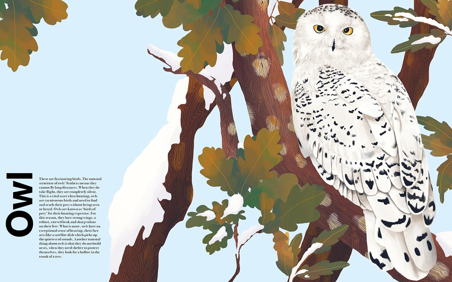 Illustration of a snowy owl perched on a branch with green leaves and a blue sky background.