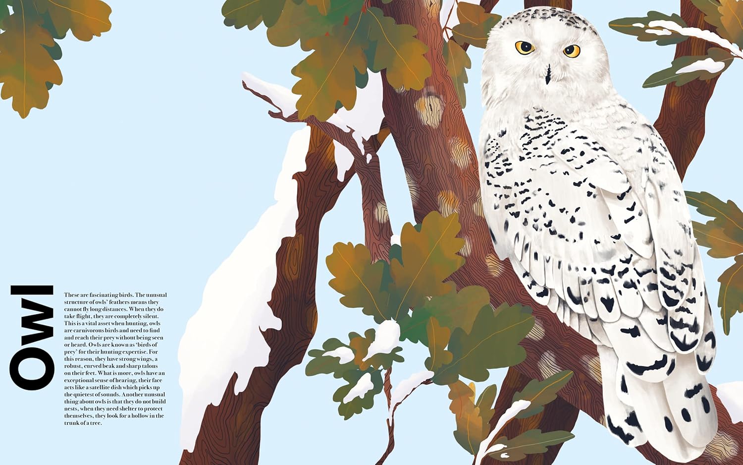 Illustration of a snowy owl perched on a branch with green leaves and a blue sky background.