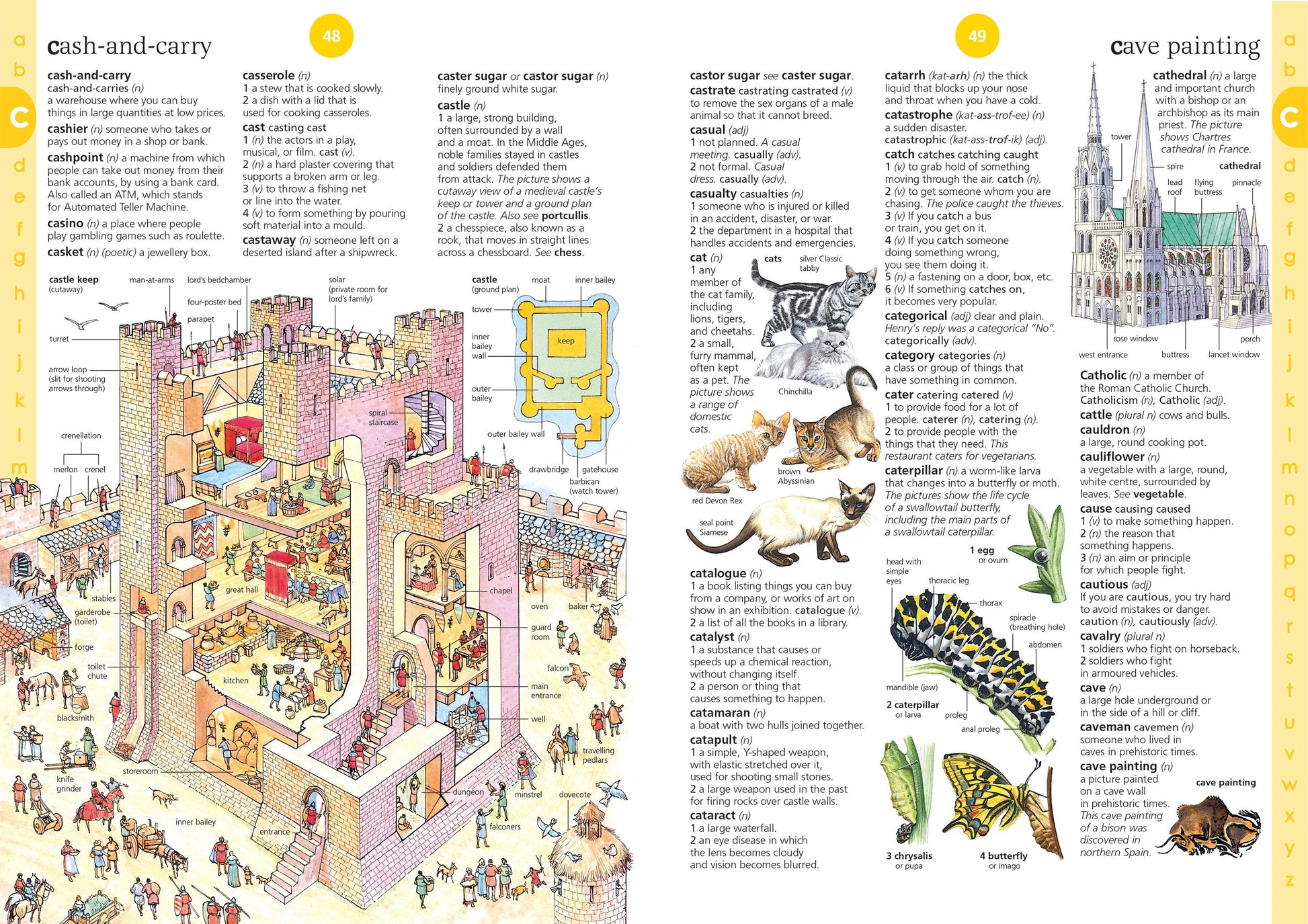 Illustrated book page with a cash-and-carry diagram and cave painting illustration.