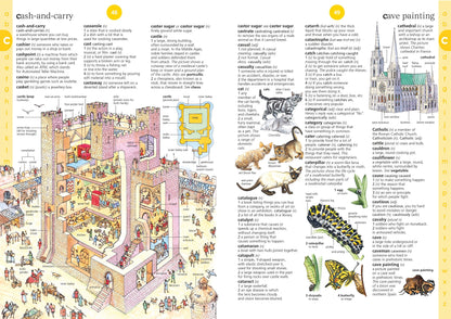 Illustrated book page with a cash-and-carry diagram and cave painting illustration.